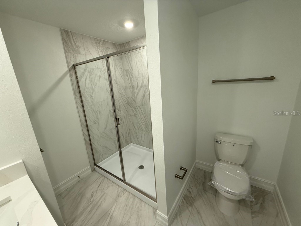 3513 Silent Gardens Cove Wesley Chapel FL 33543 TB8419818 image32