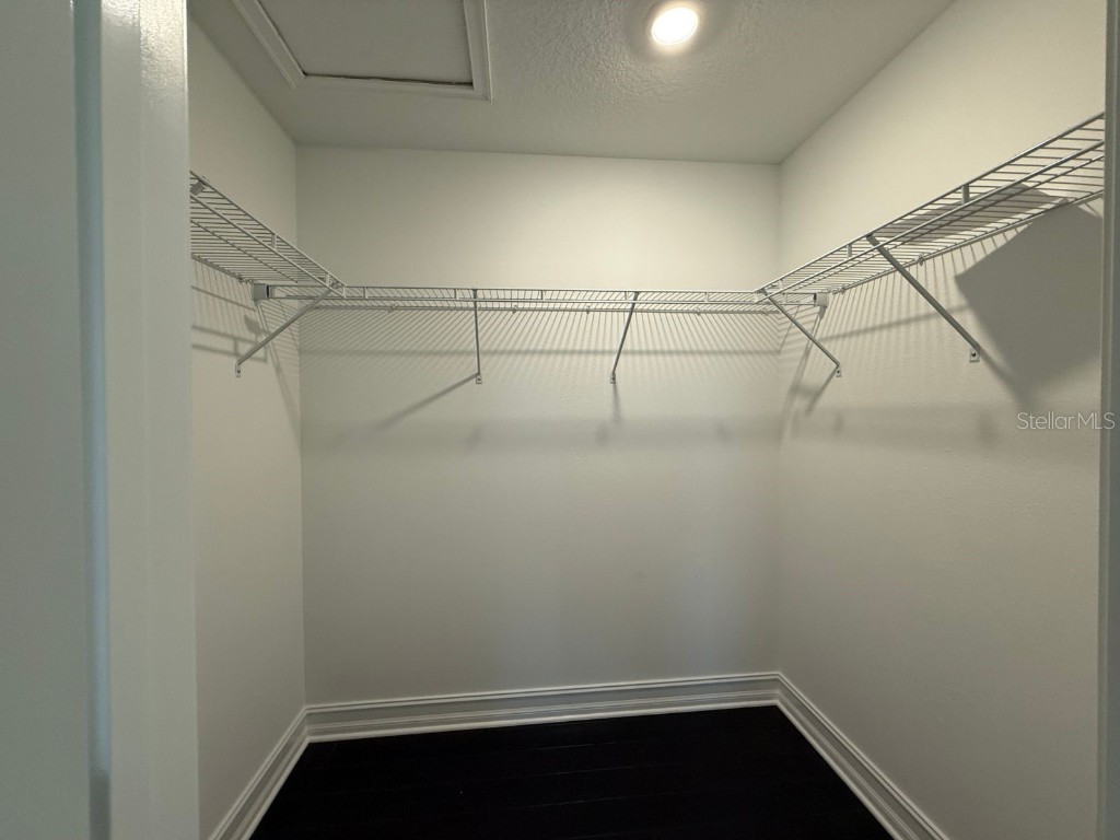 3513 Silent Gardens Cove Wesley Chapel FL 33543 TB8419818 image33