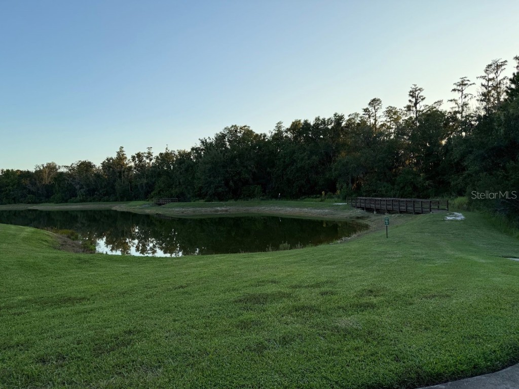 3513 Silent Gardens Cove Wesley Chapel FL 33543 TB8419818 image41