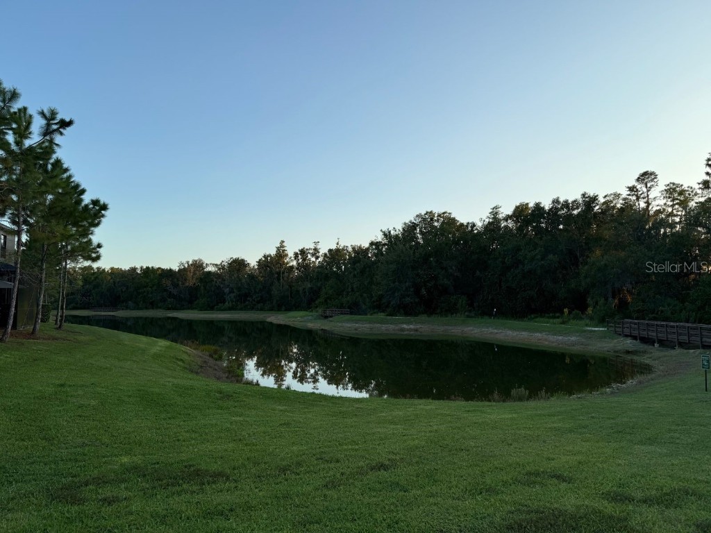 3513 Silent Gardens Cove Wesley Chapel FL 33543 TB8419818 image42