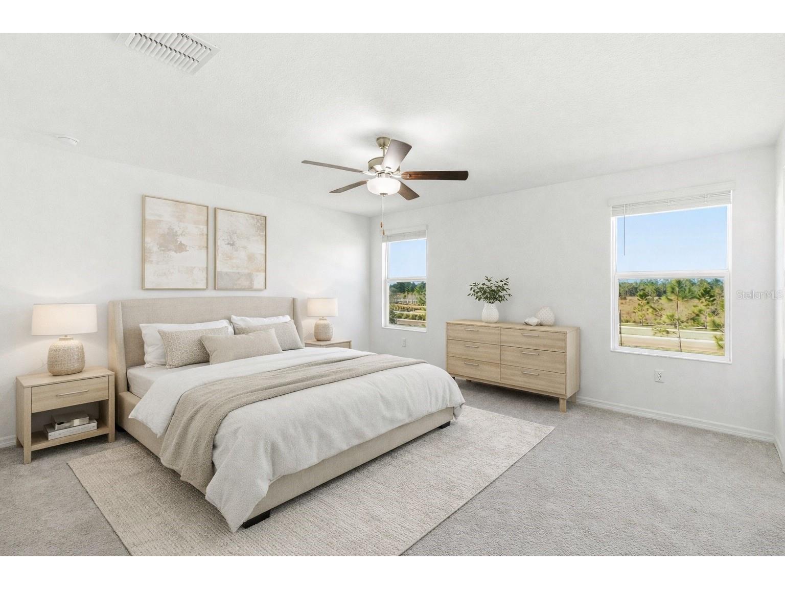 35132 Ackley Trace Zephyrhills FL 33541 TB8472012 image14