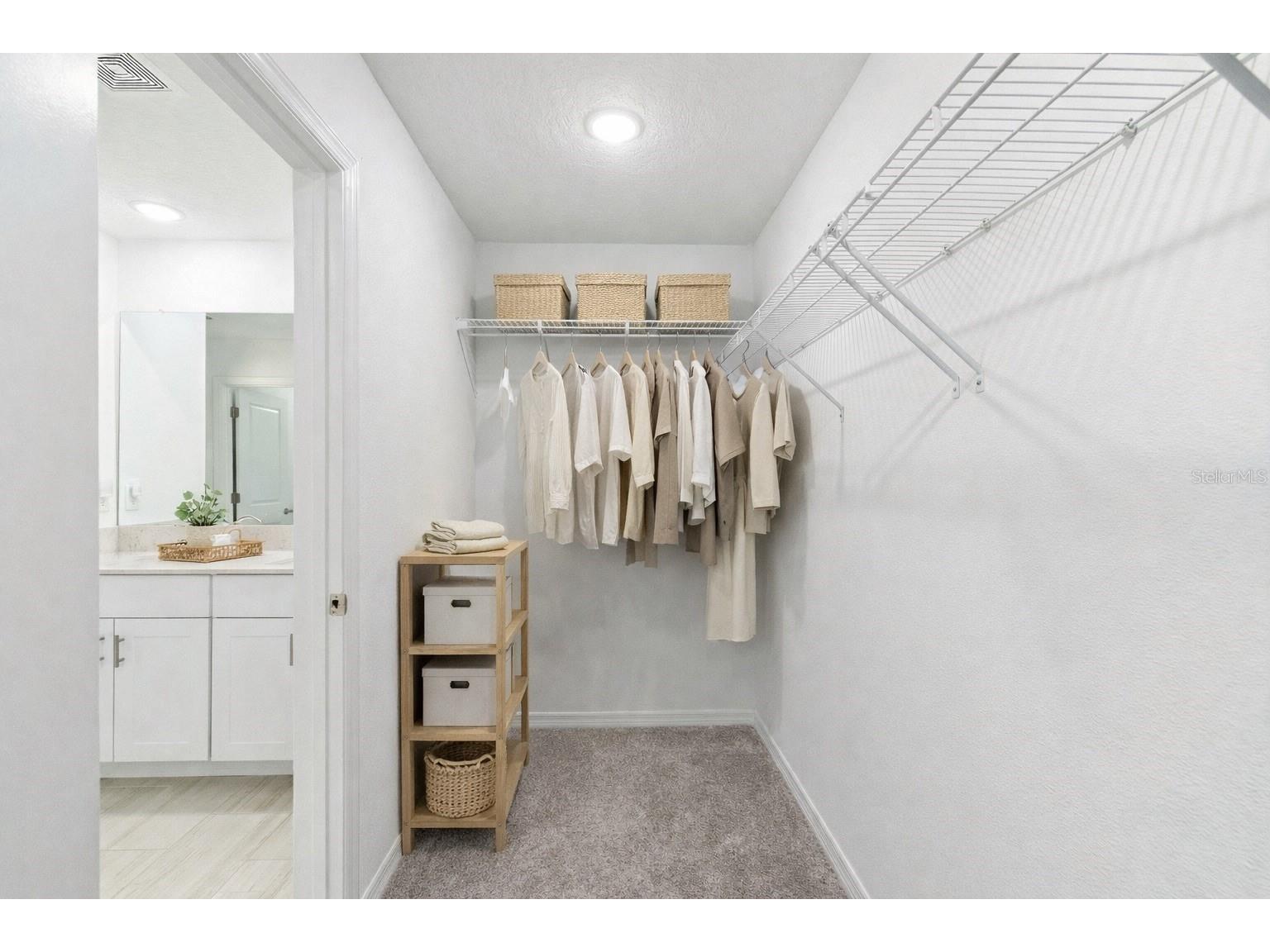 35132 Ackley Trace Zephyrhills FL 33541 TB8472012 image18