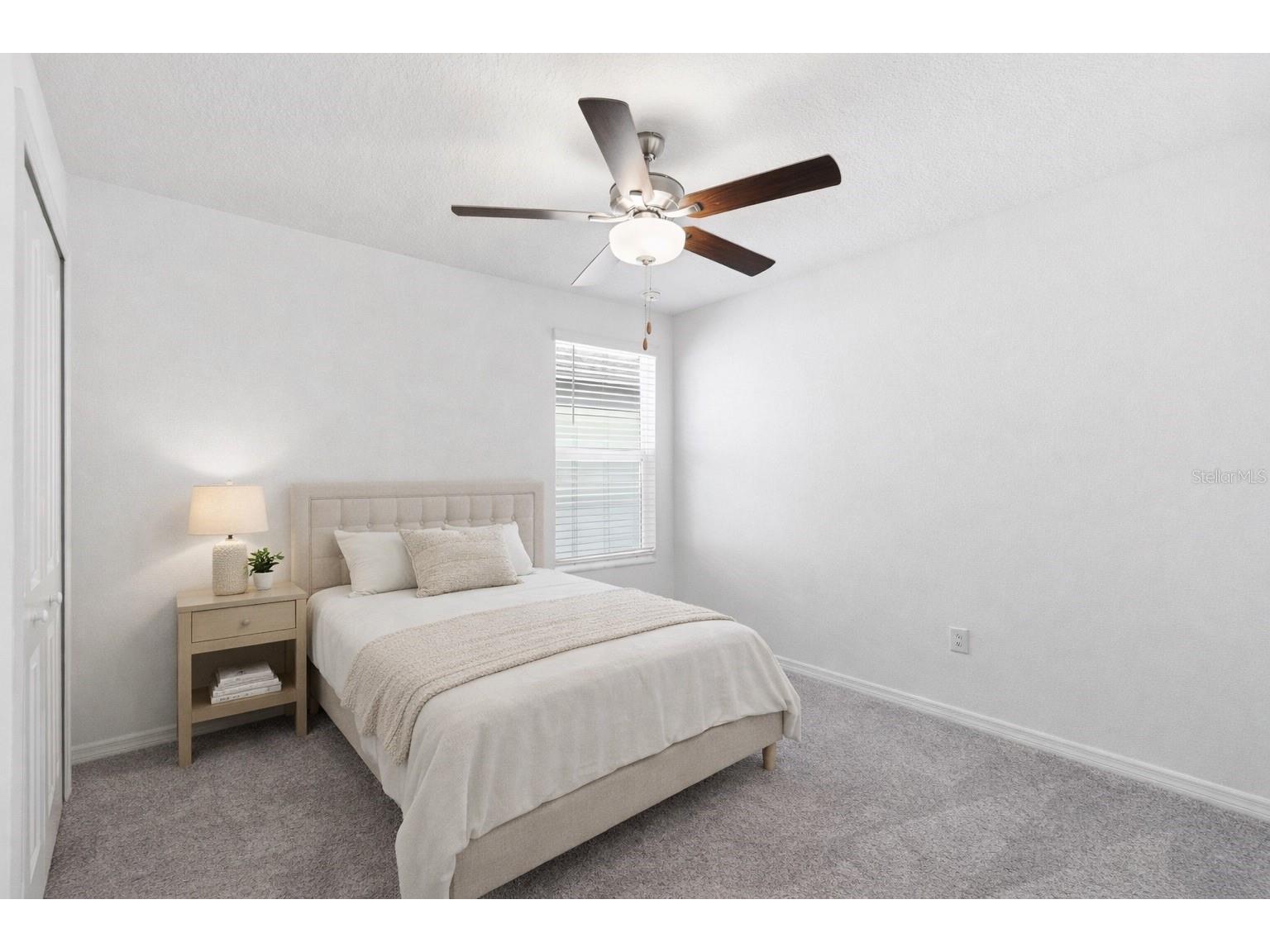 35132 Ackley Trace Zephyrhills FL 33541 TB8472012 image19