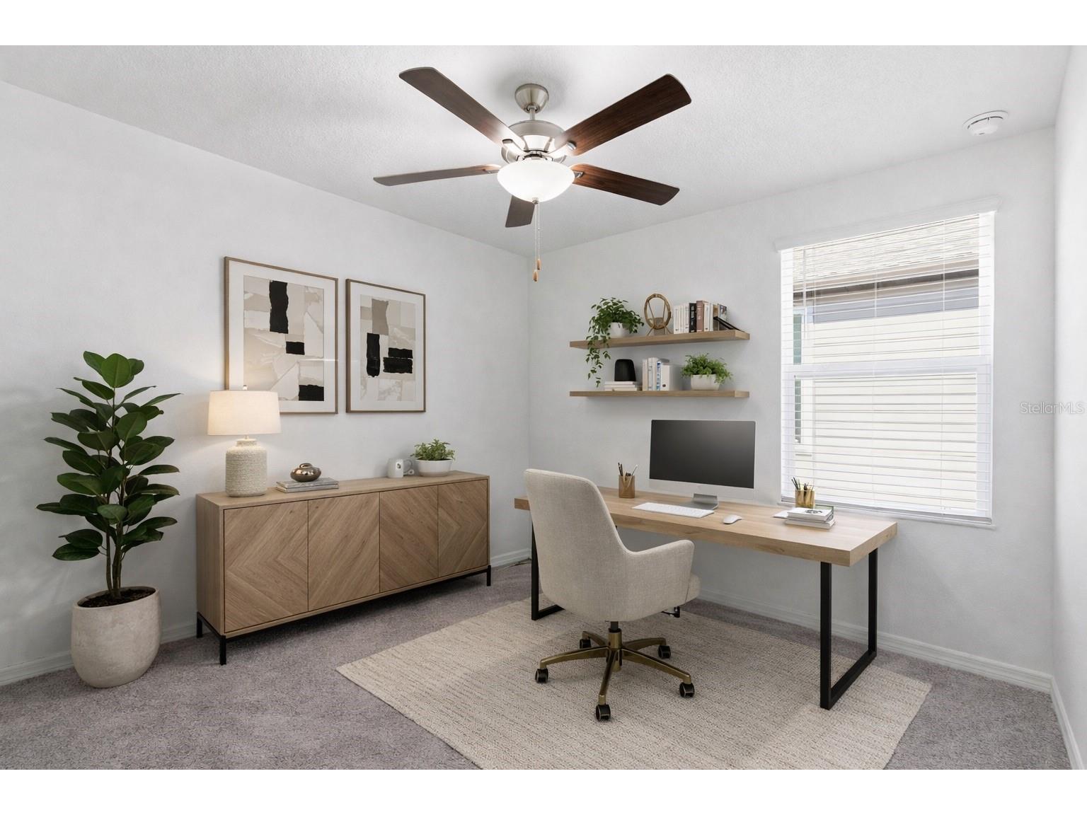 35132 Ackley Trace Zephyrhills FL 33541 TB8472012 image24