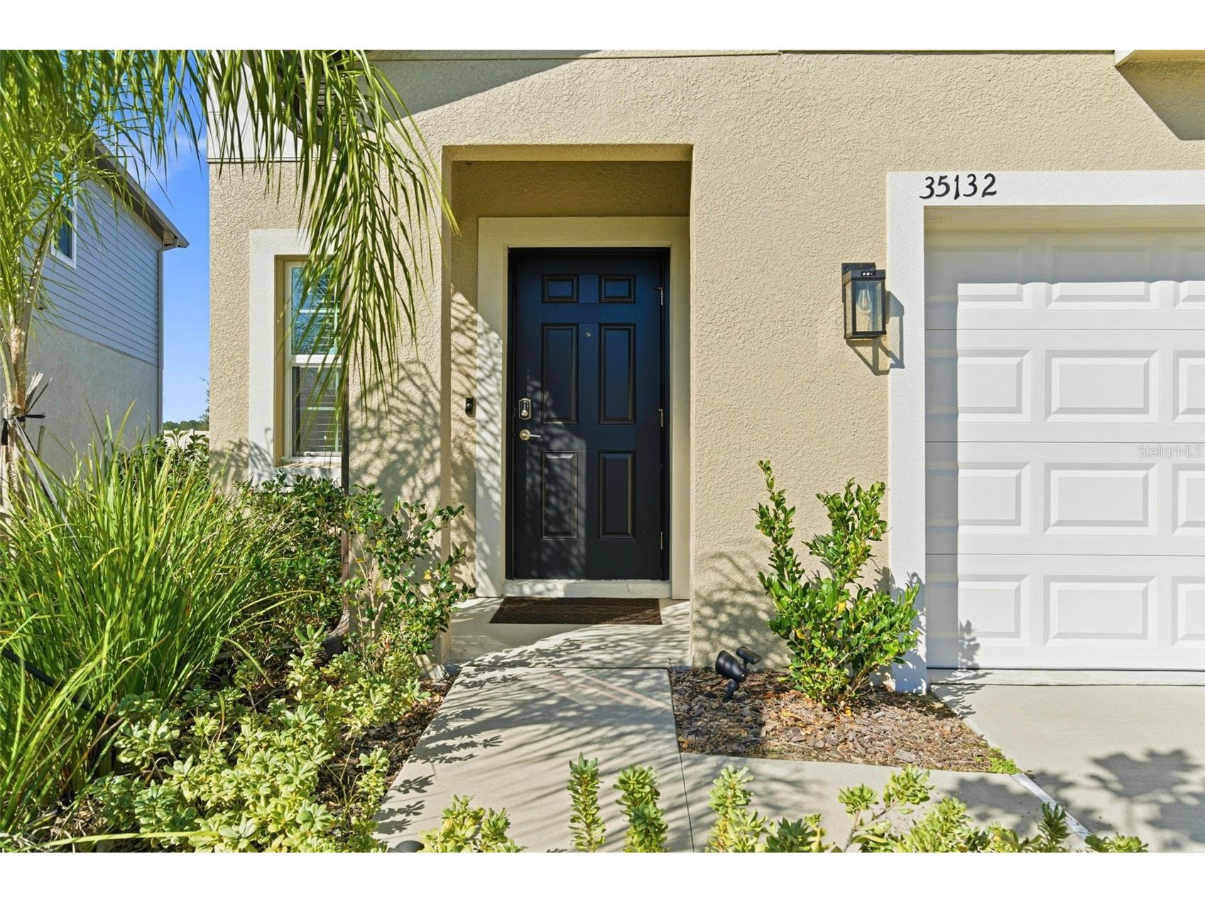 35132 Ackley Trace Zephyrhills FL 33541 TB8472012 image4