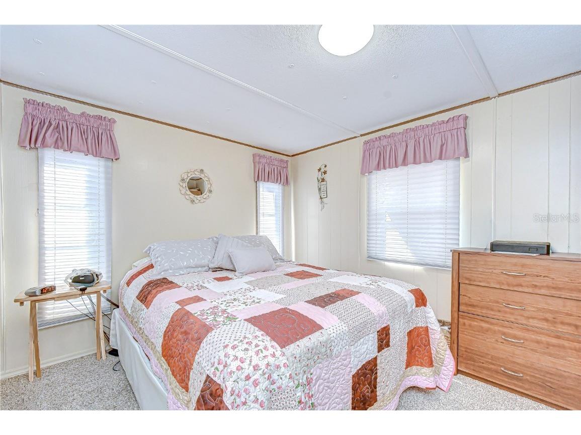 35132 Zephyr Shores Drive Zephyrhills FL 33541 TB8450136 image12