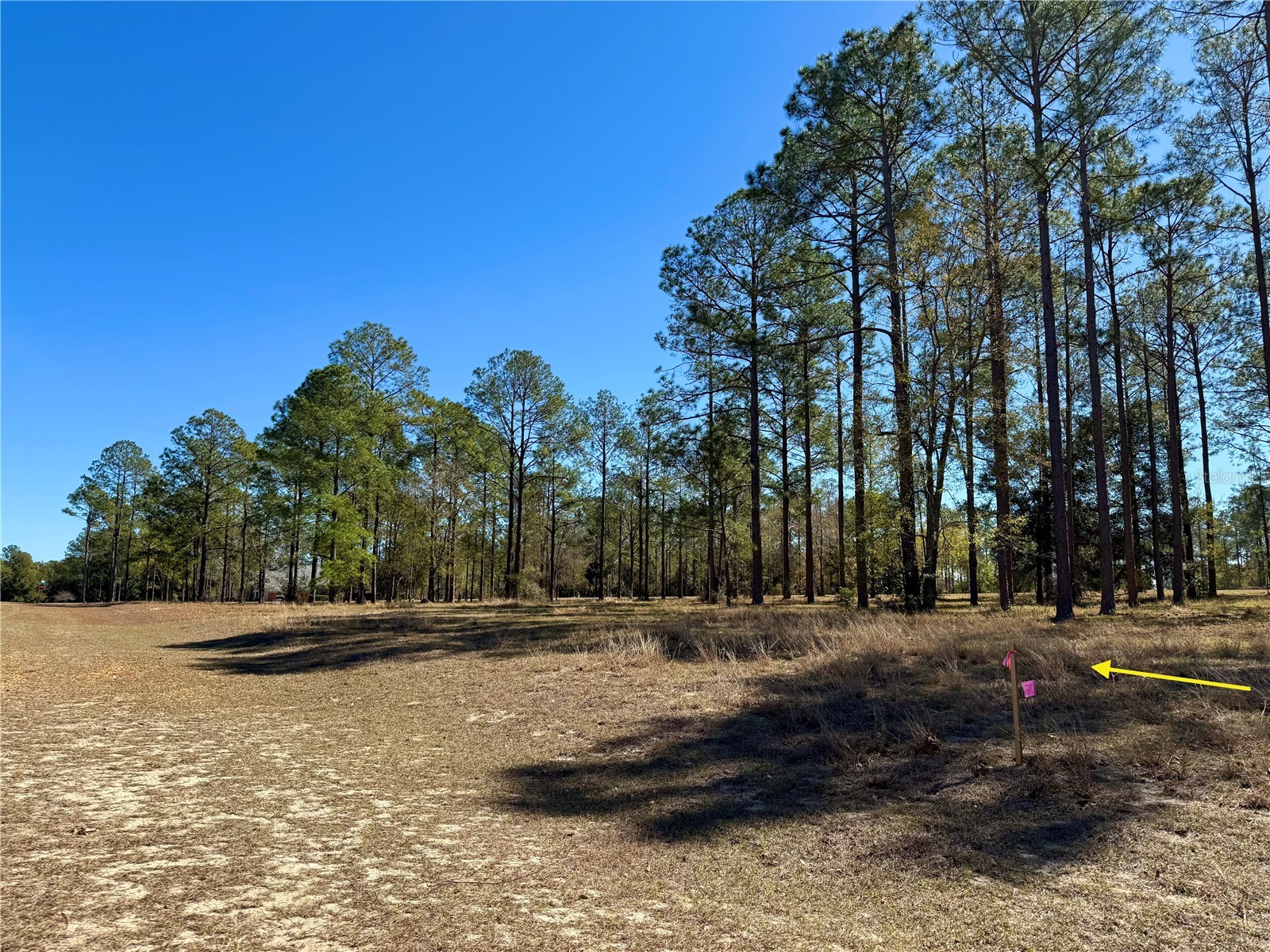 35135 Pinegate Trail Eustis FL 32736 G5108081 image11
