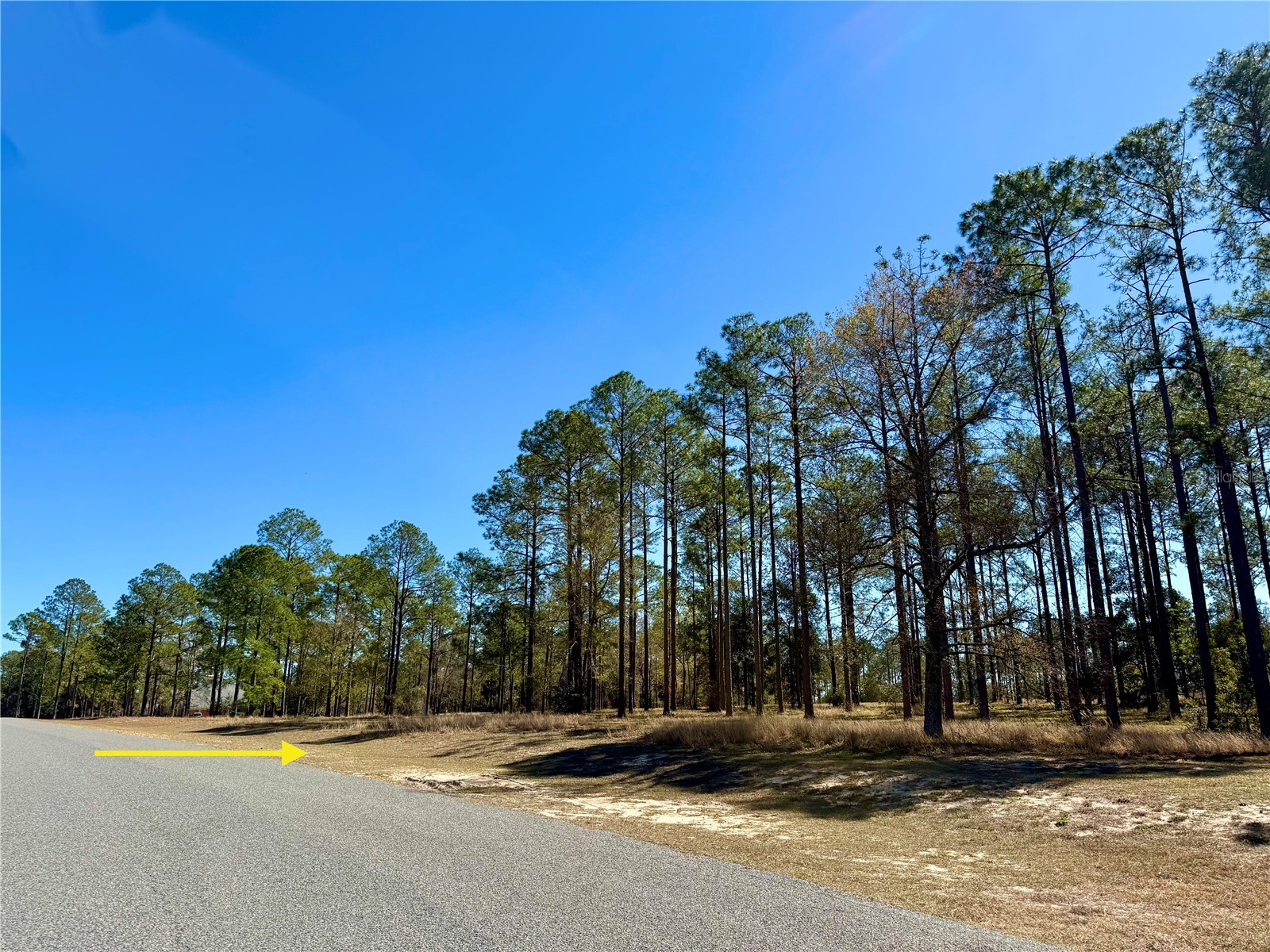 35135 Pinegate Trail Eustis FL 32736 G5108081 image12