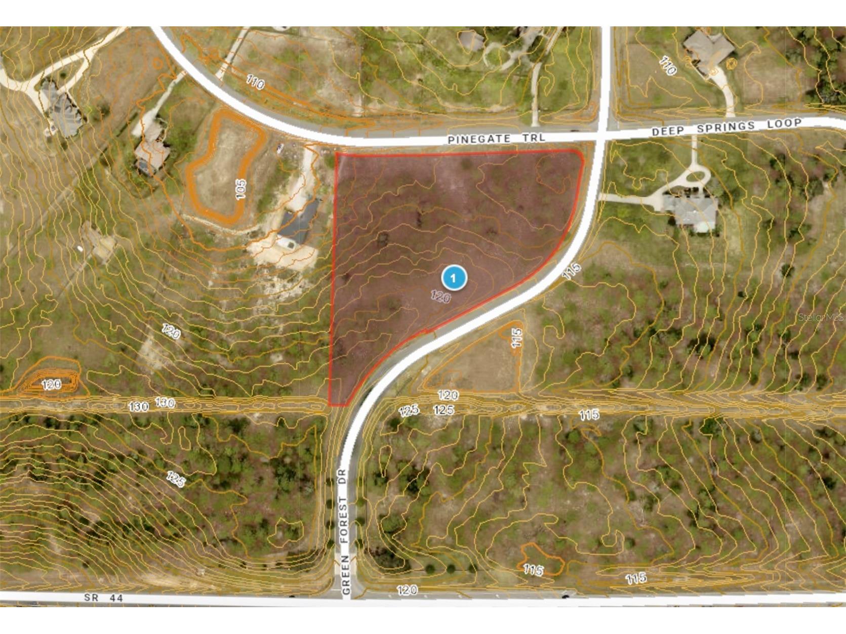 35135 Pinegate Trail Eustis FL 32736 G5108081 image14