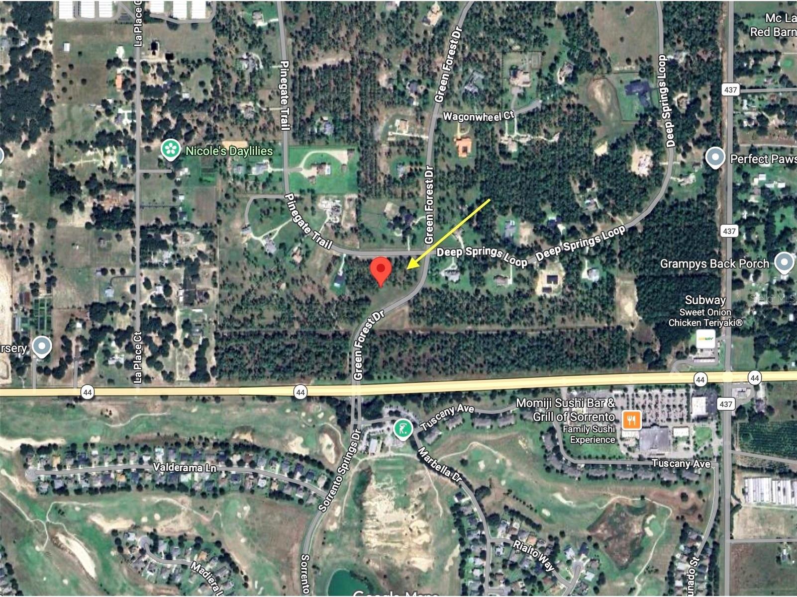 35135 Pinegate Trail Eustis FL 32736 G5108081 image16