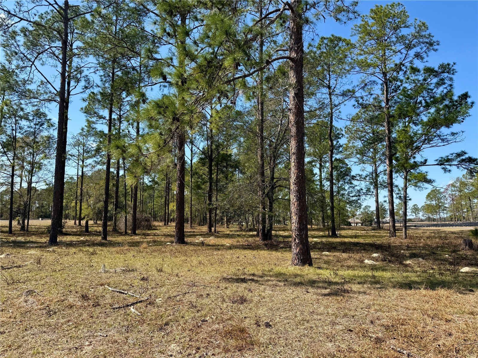 35135 Pinegate Trail Eustis FL 32736 G5108081 image19