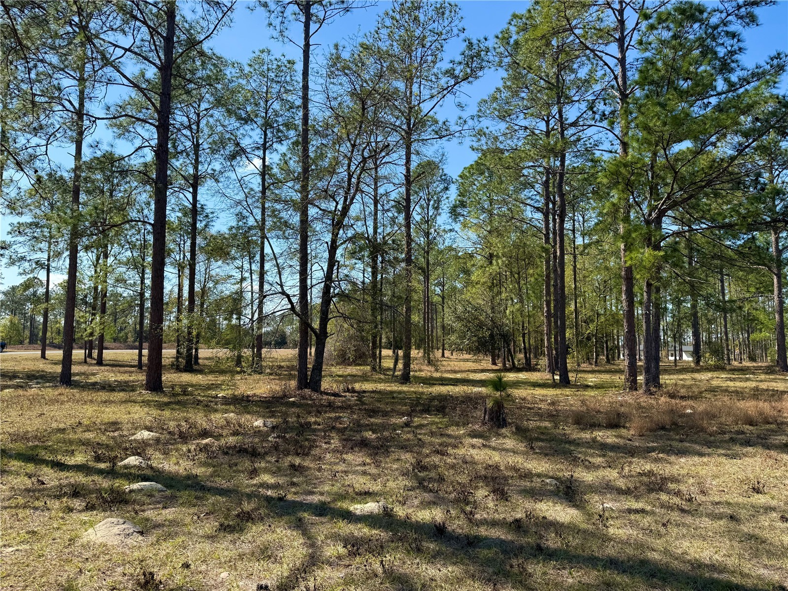 35135 Pinegate Trail Eustis FL 32736 G5108081 image20