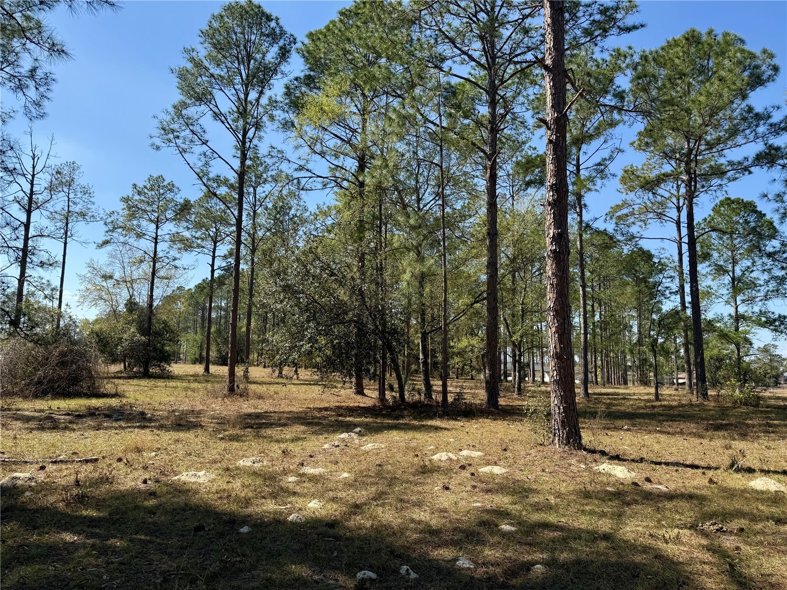 35135 Pinegate Trail Eustis FL 32736 G5108081 image22