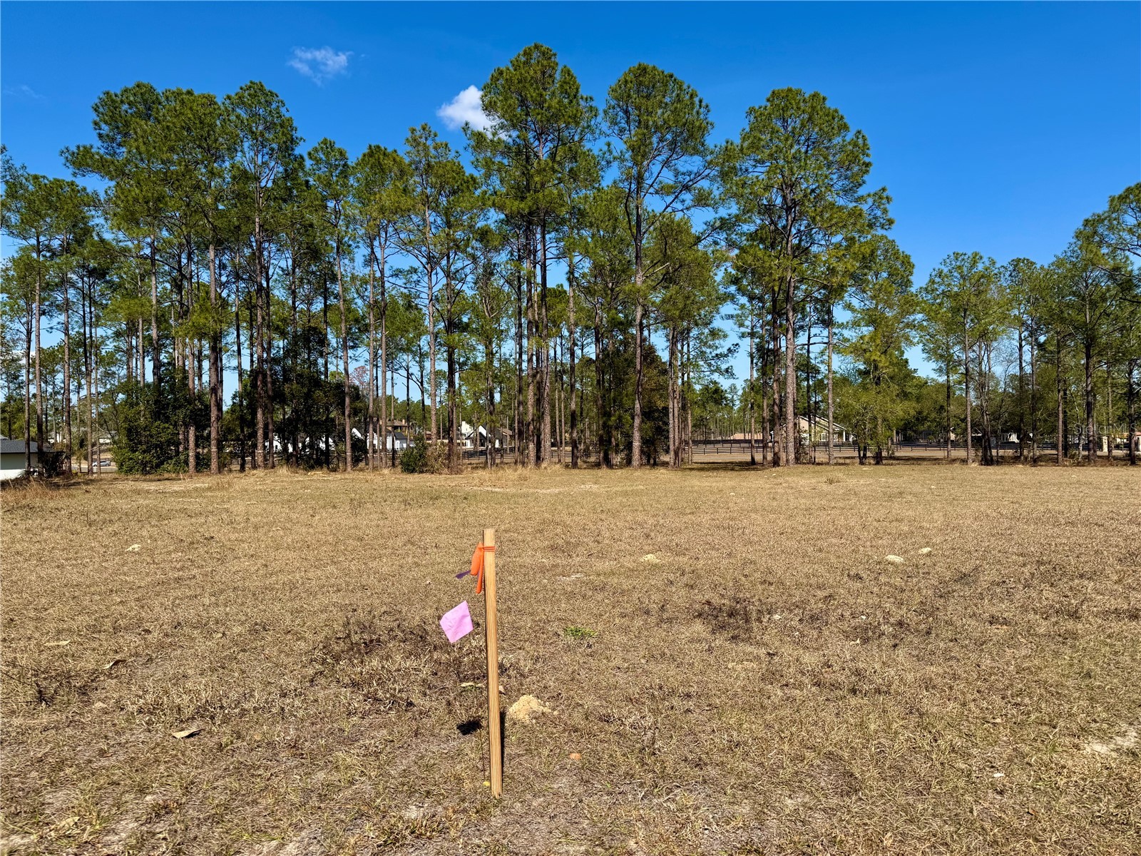 35135 Pinegate Trail Eustis FL 32736 G5108081 image5