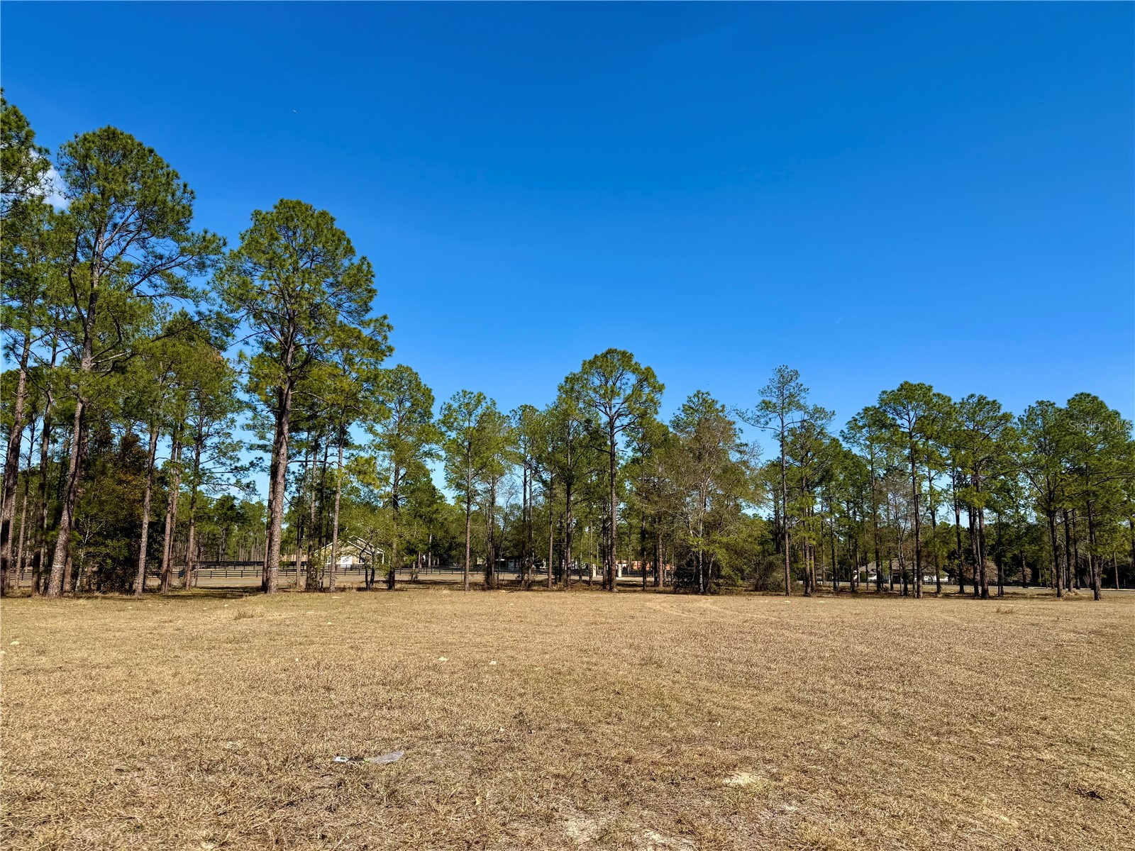 35135 Pinegate Trail Eustis FL 32736 G5108081 image6