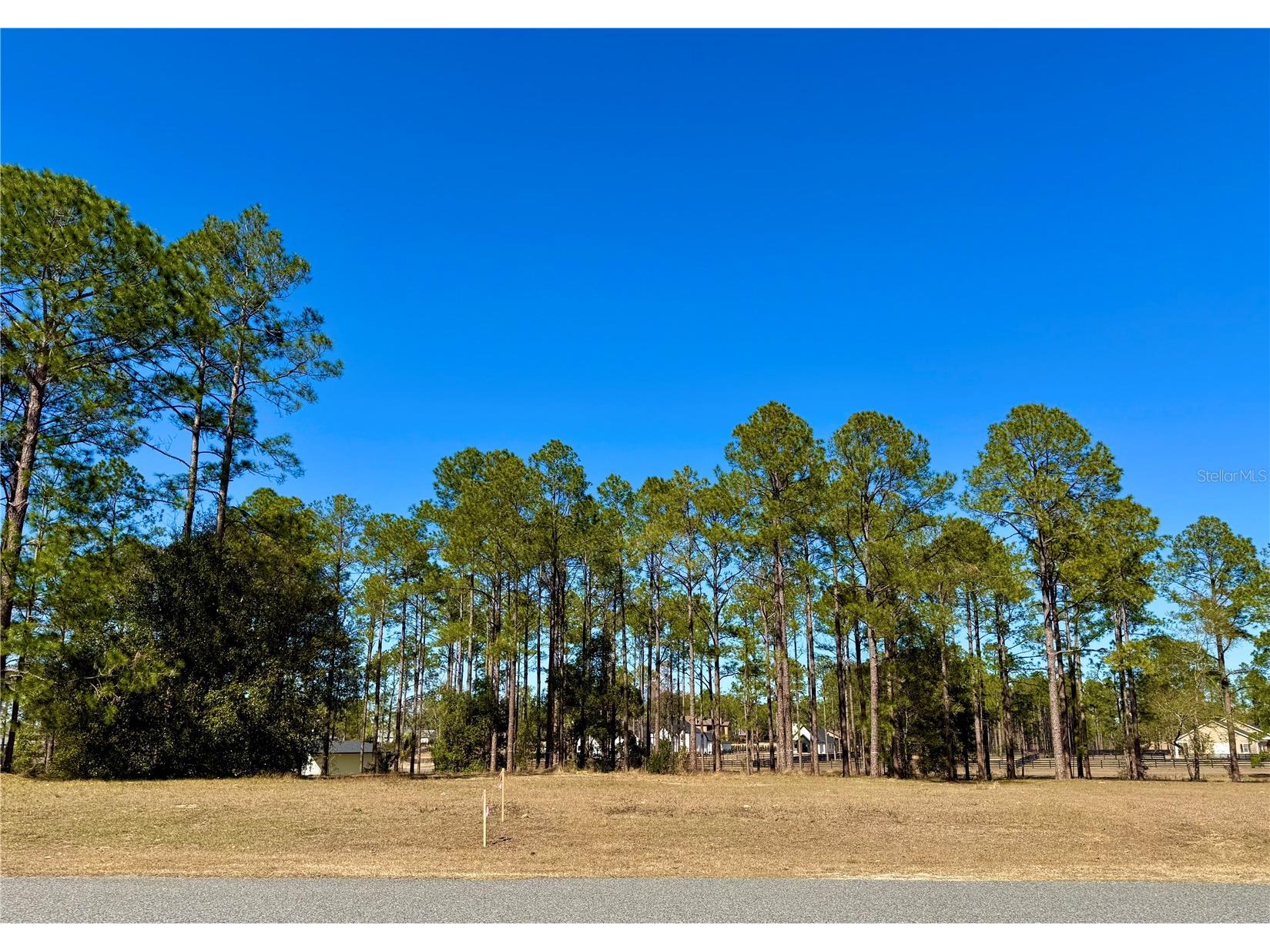 35135 Pinegate Trail Eustis FL 32736 G5108081 image7