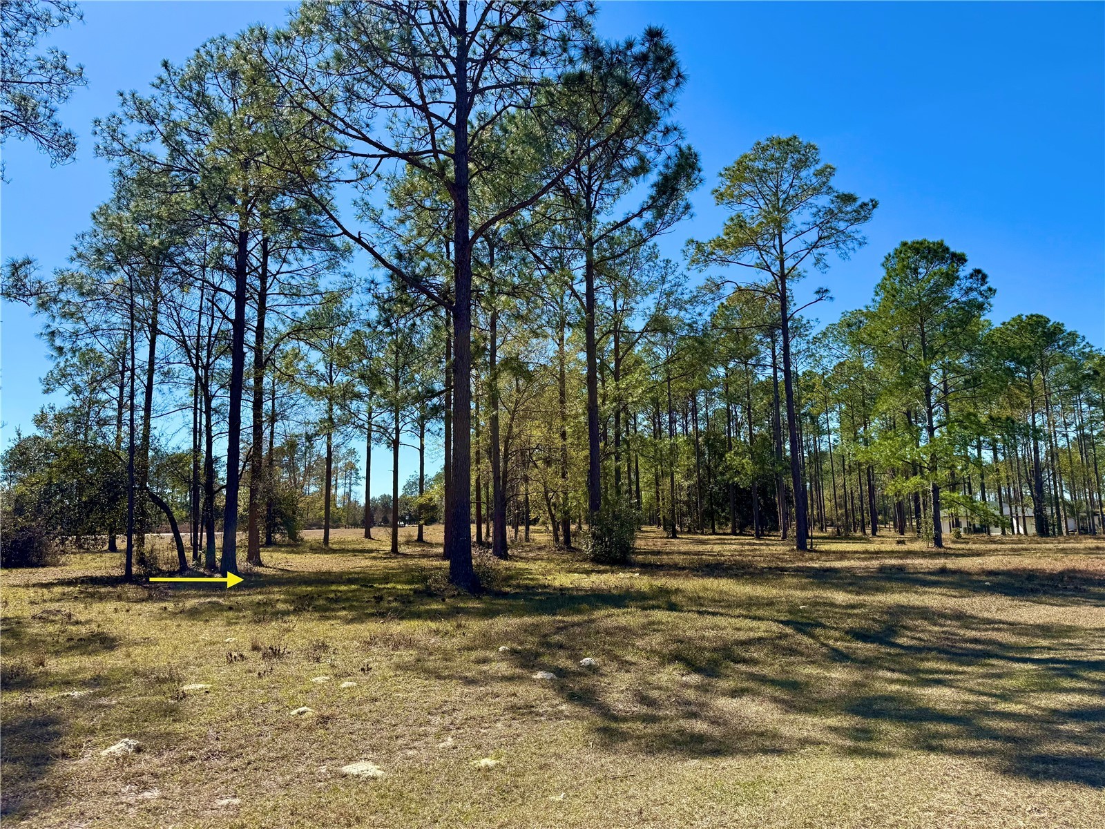 35135 Pinegate Trail Eustis FL 32736 G5108081 image9
