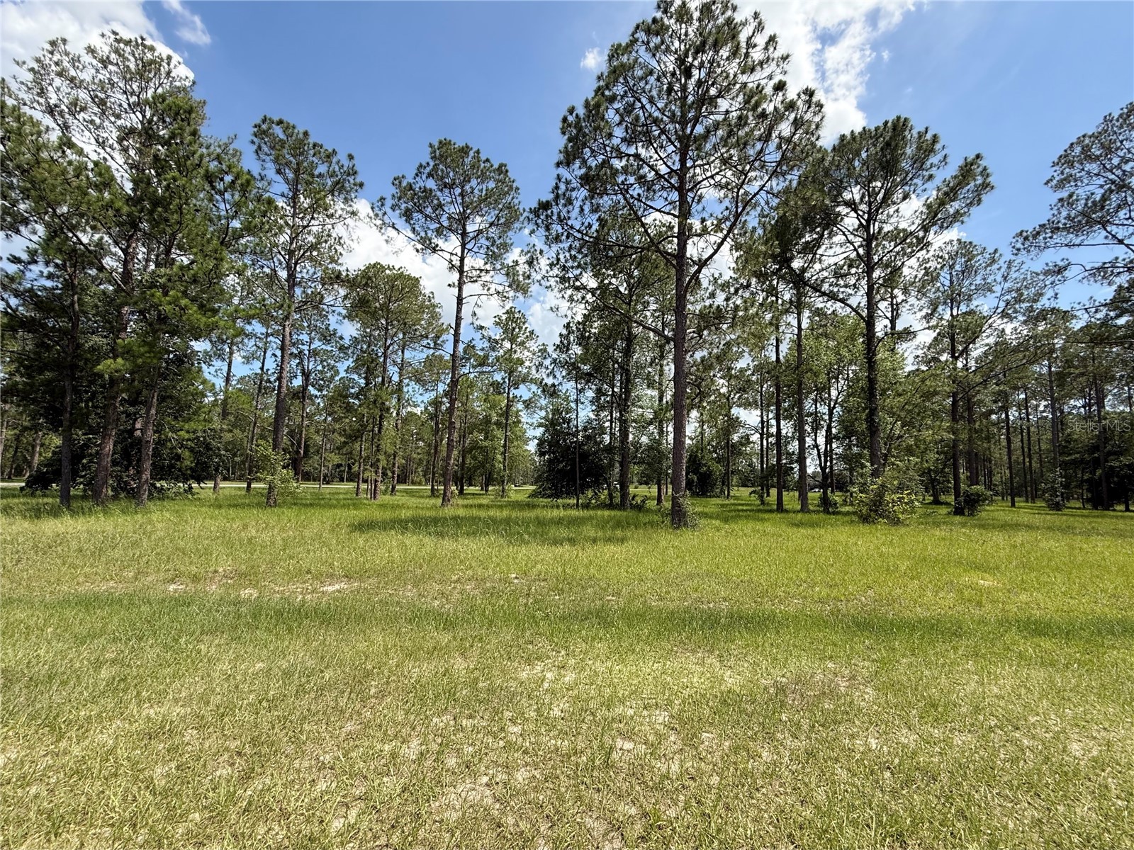 35135 Pinegate Trail Eustis FL 32736 G5114013 image10