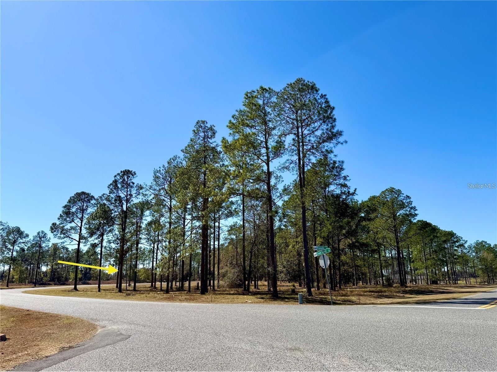 35135 Pinegate Trail Eustis FL 32736 G5114013 image13