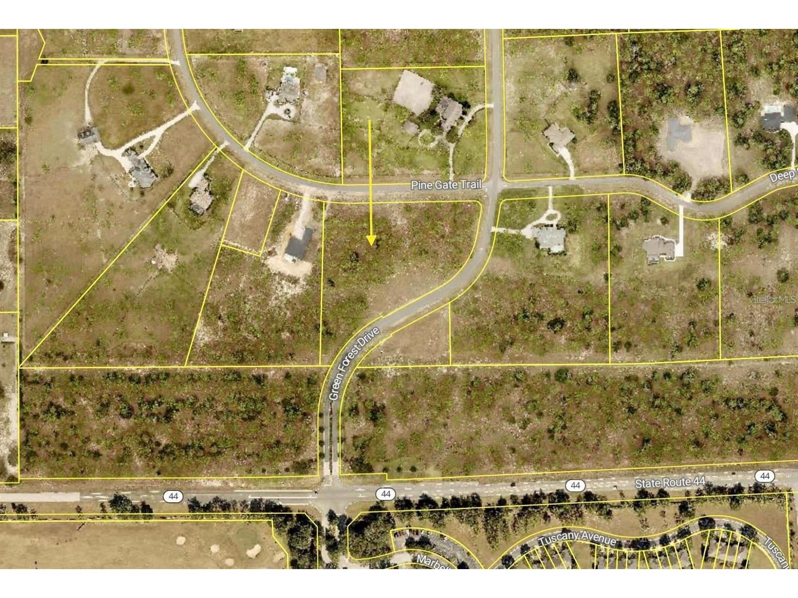 35135 Pinegate Trail Eustis FL 32736 G5114013 image15