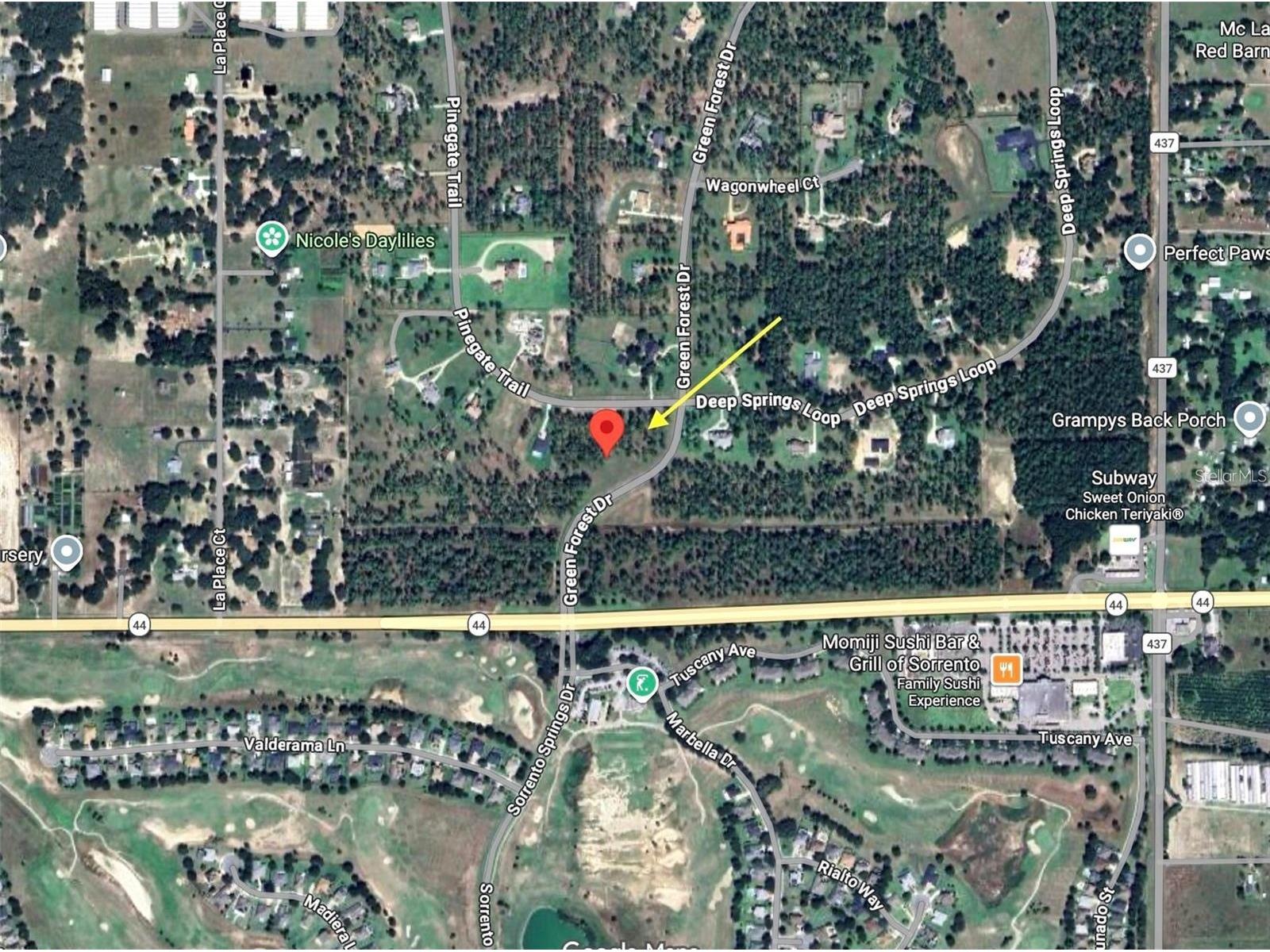 35135 Pinegate Trail Eustis FL 32736 G5114013 image16