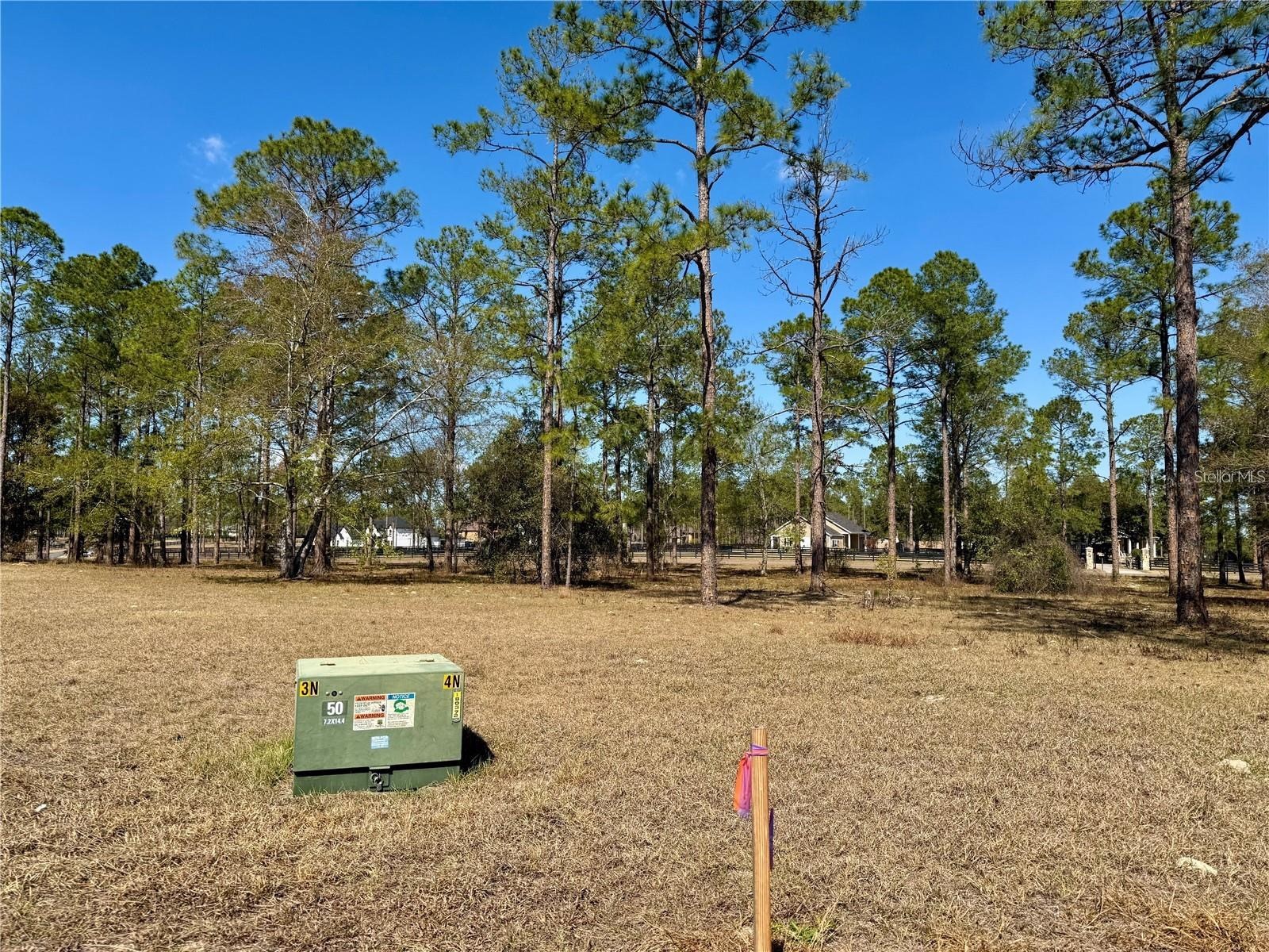 35135 Pinegate Trail Eustis FL 32736 G5114013 image19
