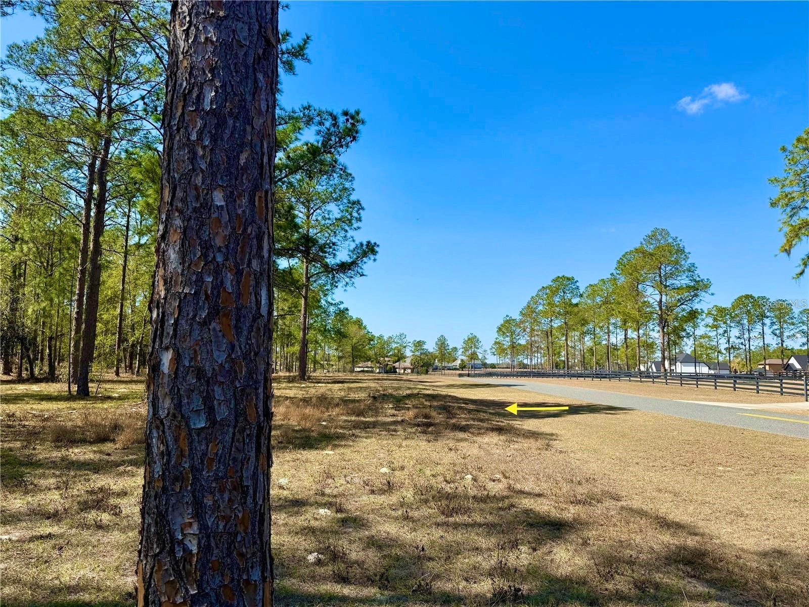 35135 Pinegate Trail Eustis FL 32736 G5114013 image20