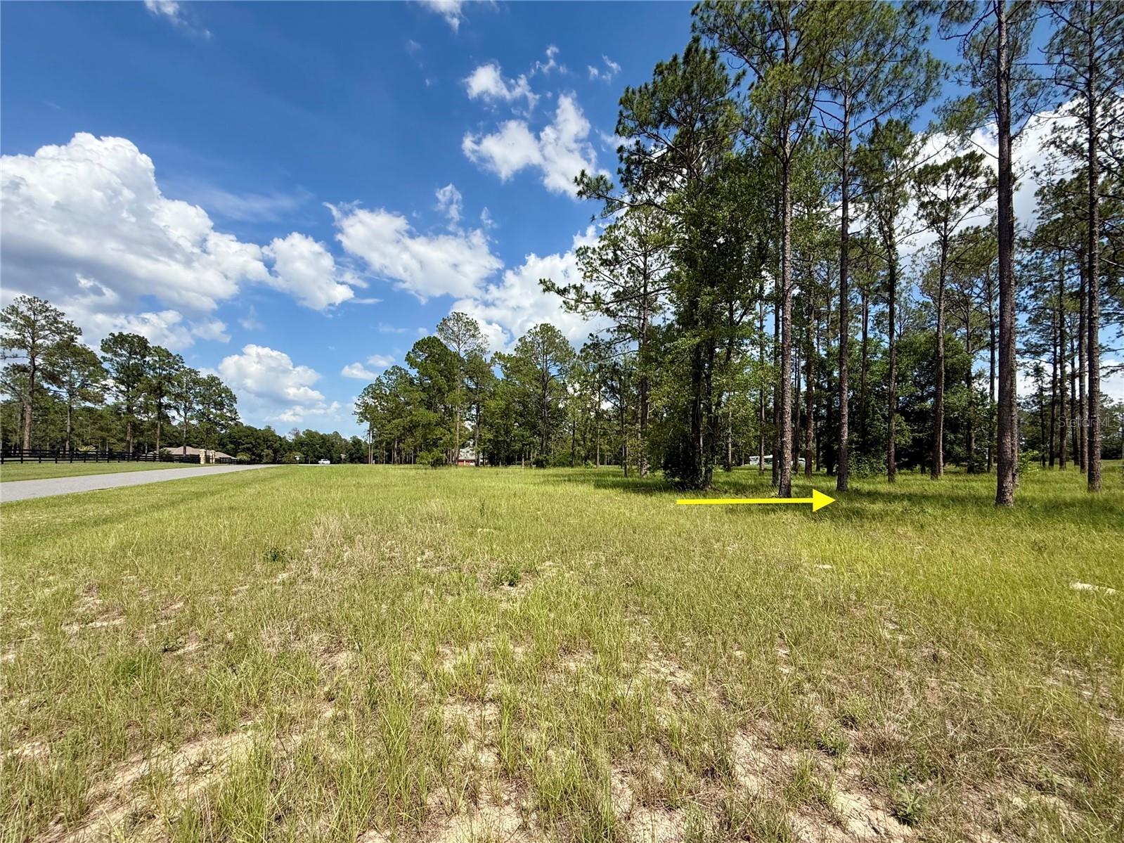 35135 Pinegate Trail Eustis FL 32736 G5114013 image21