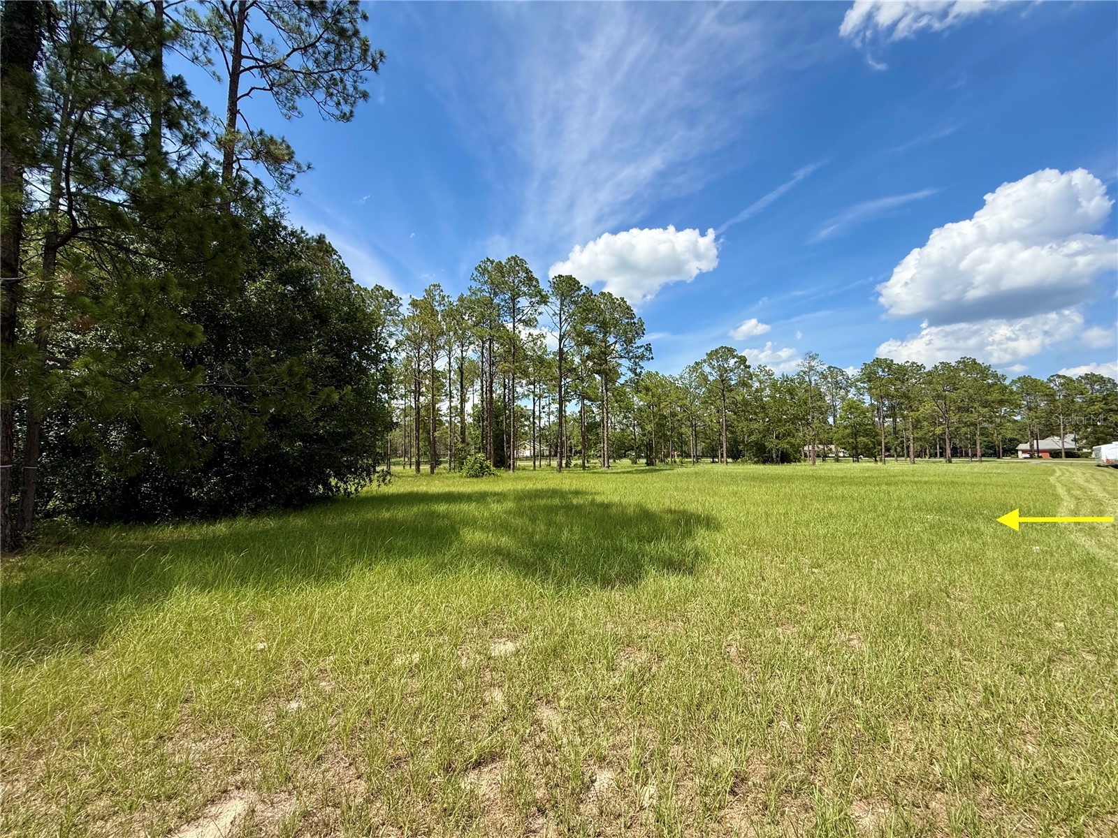 35135 Pinegate Trail Eustis FL 32736 G5114013 image24