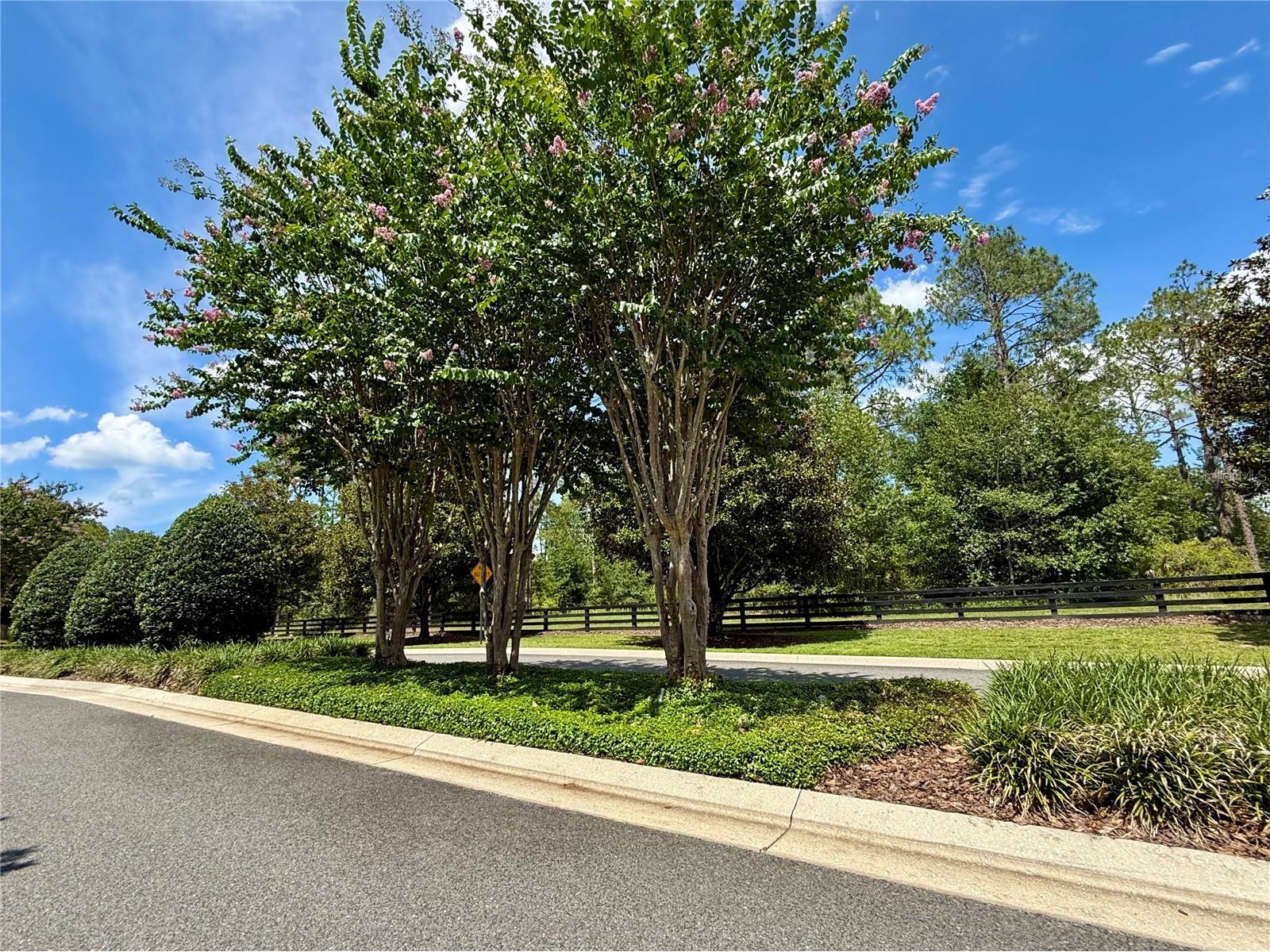 35135 Pinegate Trail Eustis FL 32736 G5114013 image26