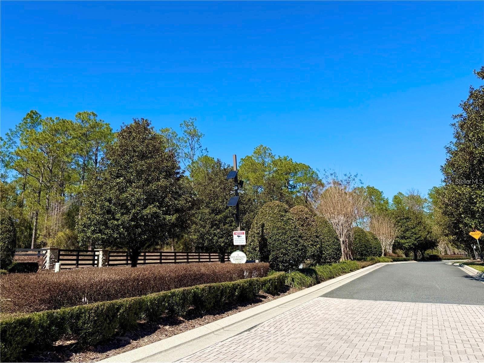 35135 Pinegate Trail Eustis FL 32736 G5114013 image3