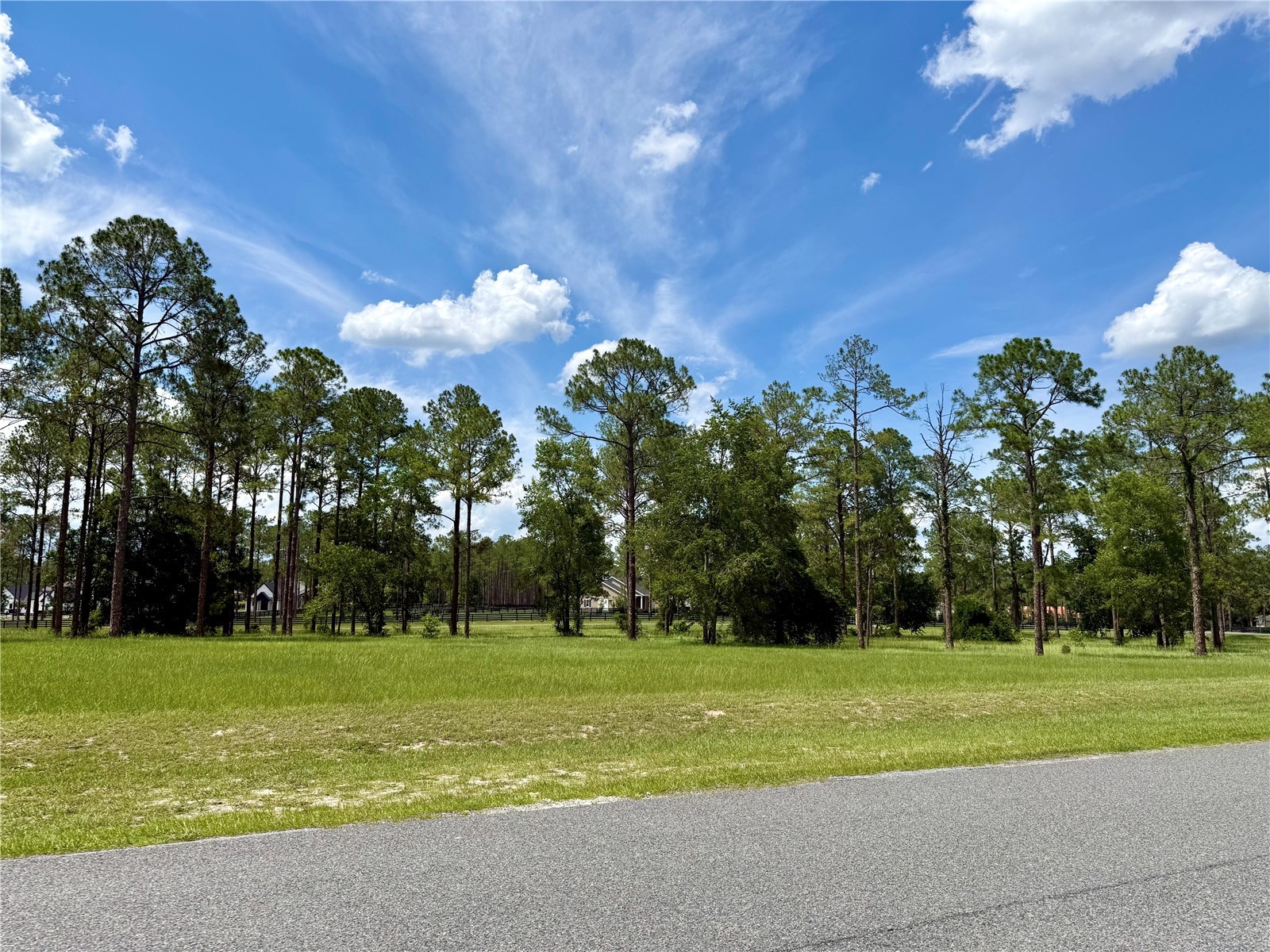 35135 Pinegate Trail Eustis FL 32736 G5114013 image4