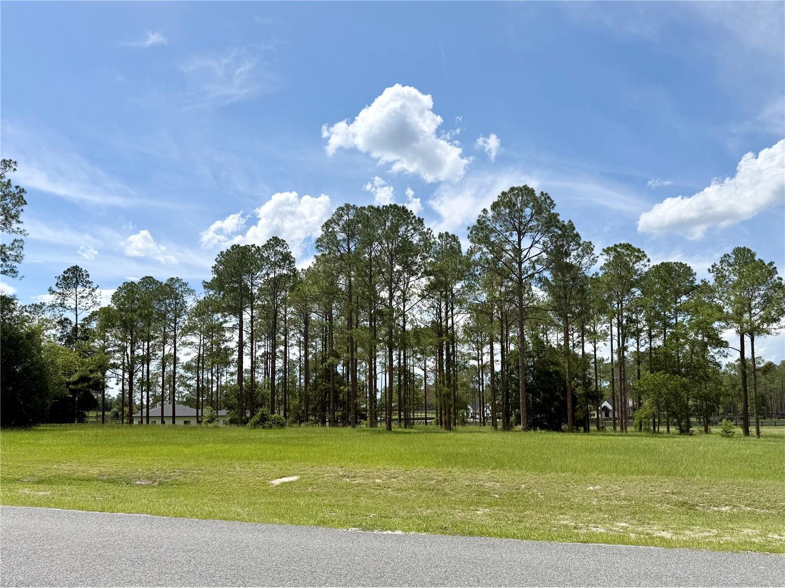 35135 Pinegate Trail Eustis FL 32736 G5114013 image6