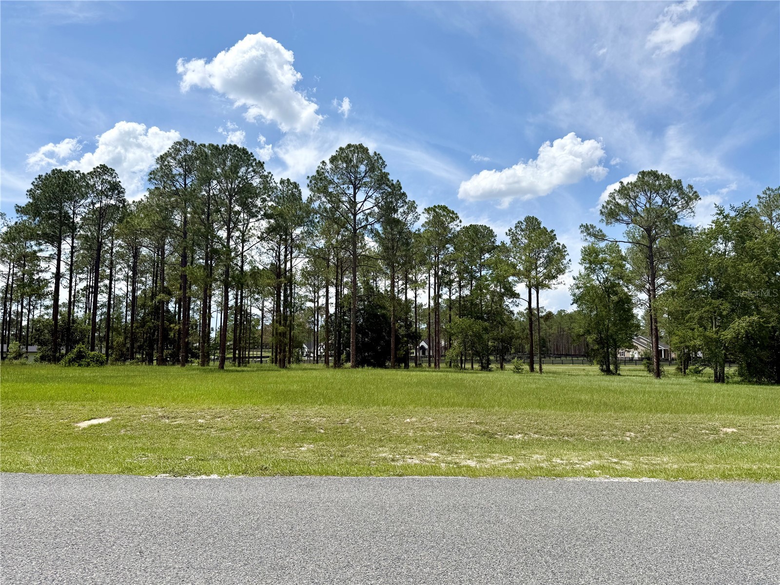 35135 Pinegate Trail Eustis FL 32736 G5114013 image7