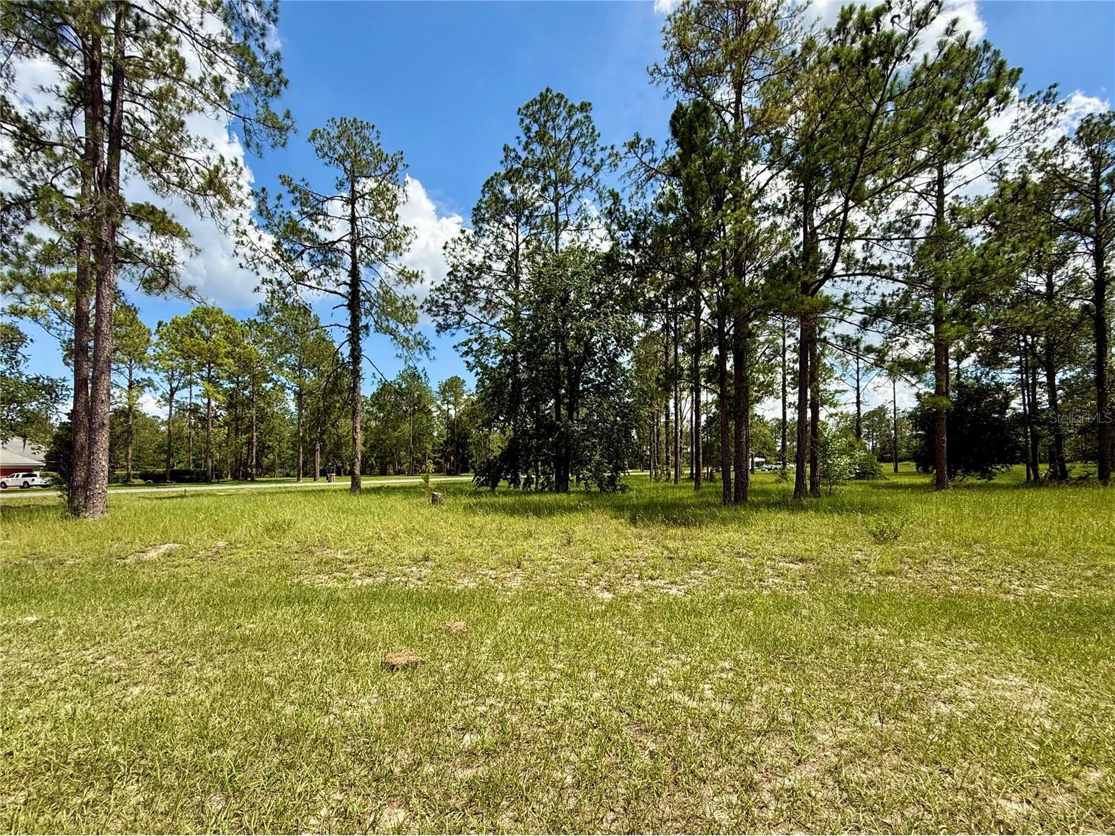 35135 Pinegate Trail Eustis FL 32736 G5114013 image9