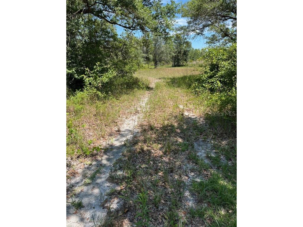 35139 Umbrella Rock Webster FL 33597 G5103730 image1