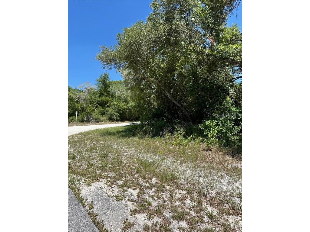 35139 Umbrella Rock Webster FL 33597 G5103730 image2