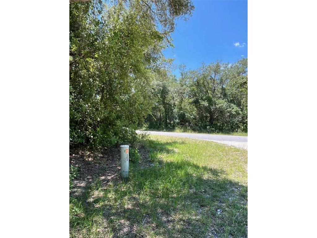 35139 Umbrella Rock Webster FL 33597 G5103730 image4