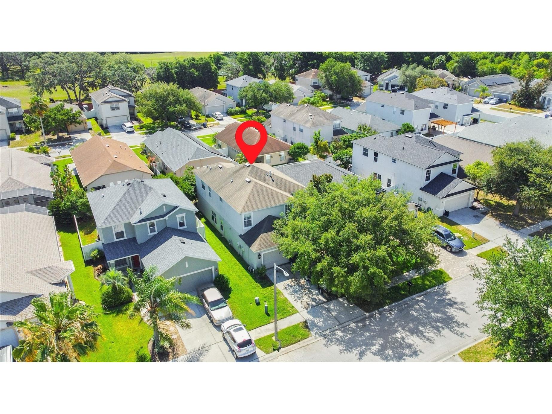 3514 Foray Lane New Port Richey FL 34655 A4694700 image3