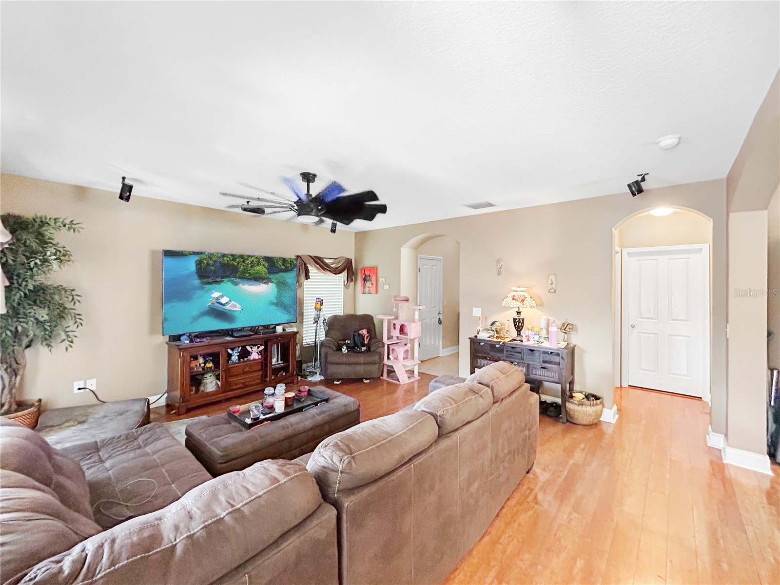 3514 Foray Lane New Port Richey FL 34655 A4694700 image6