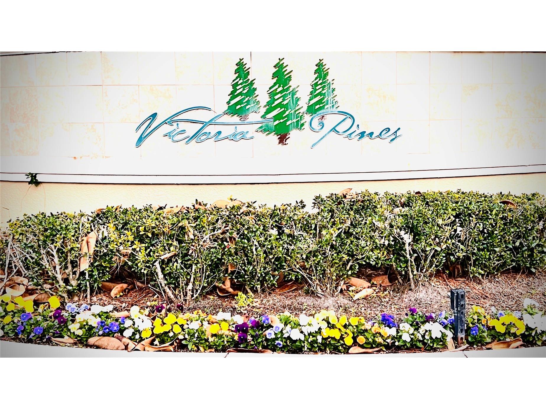3514 Victoria Pines Drive #148 Orlando FL 32829 O6389272 image3