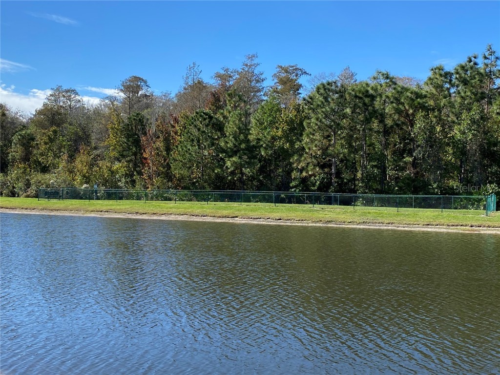 3514 Victoria Pines Drive Orlando FL 32829 O6363143 image21