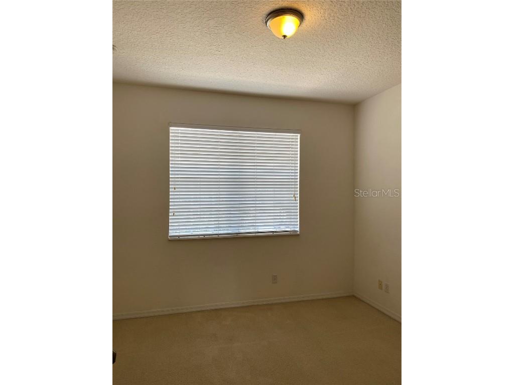 3514 Victoria Pines Drive Orlando FL 32829 O6363143 image9