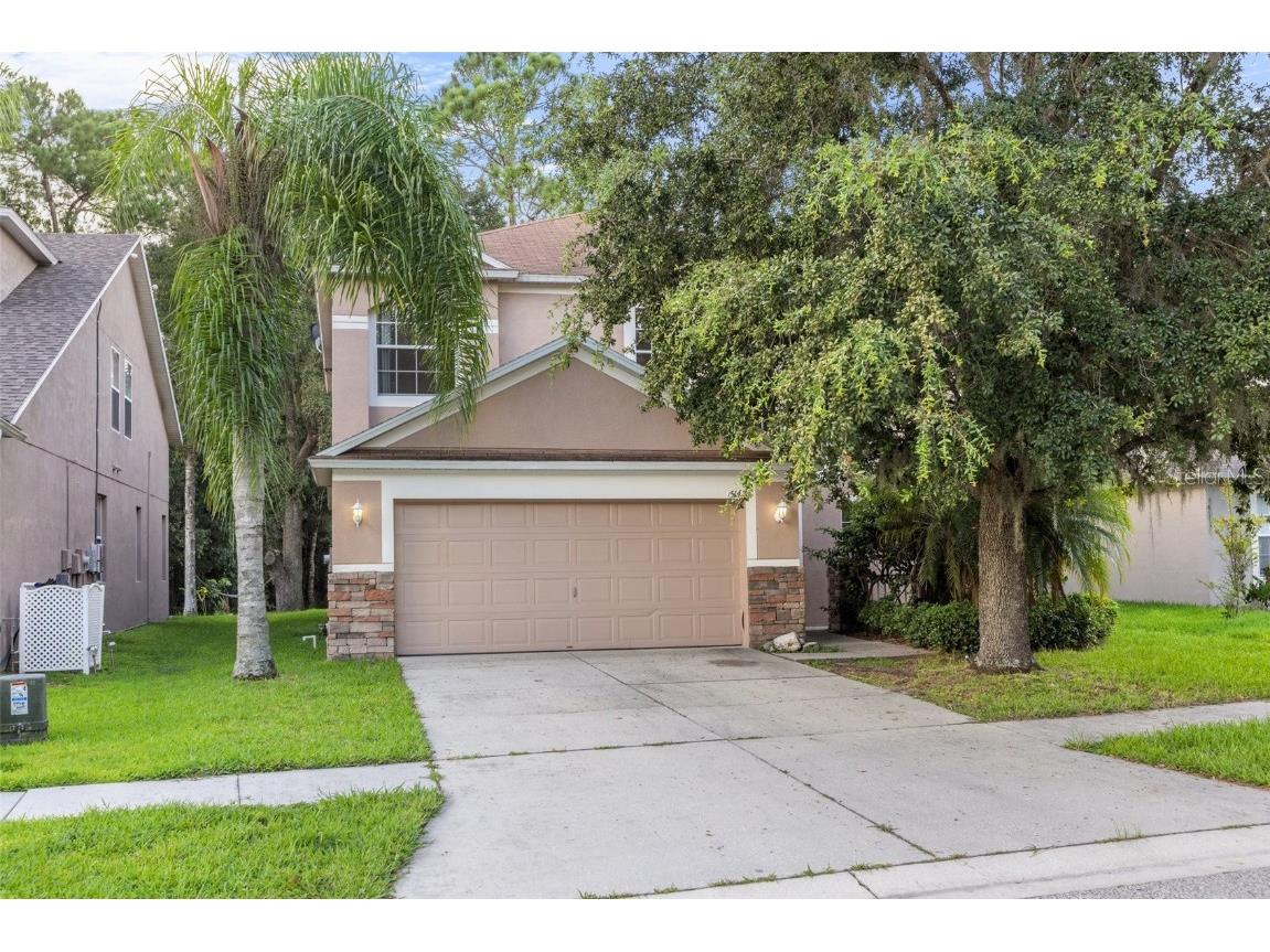 35142 Meadow Reach Drive Zephyrhills FL 33541 T3398881 image1