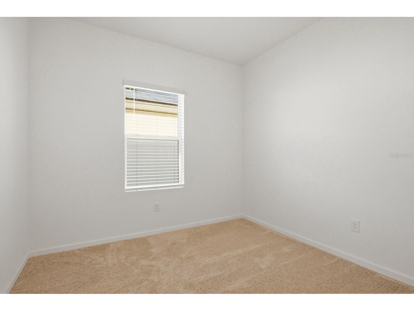 35145 Daisy Meadow Loop Zephyrhills FL 33541 TB8503006 image16