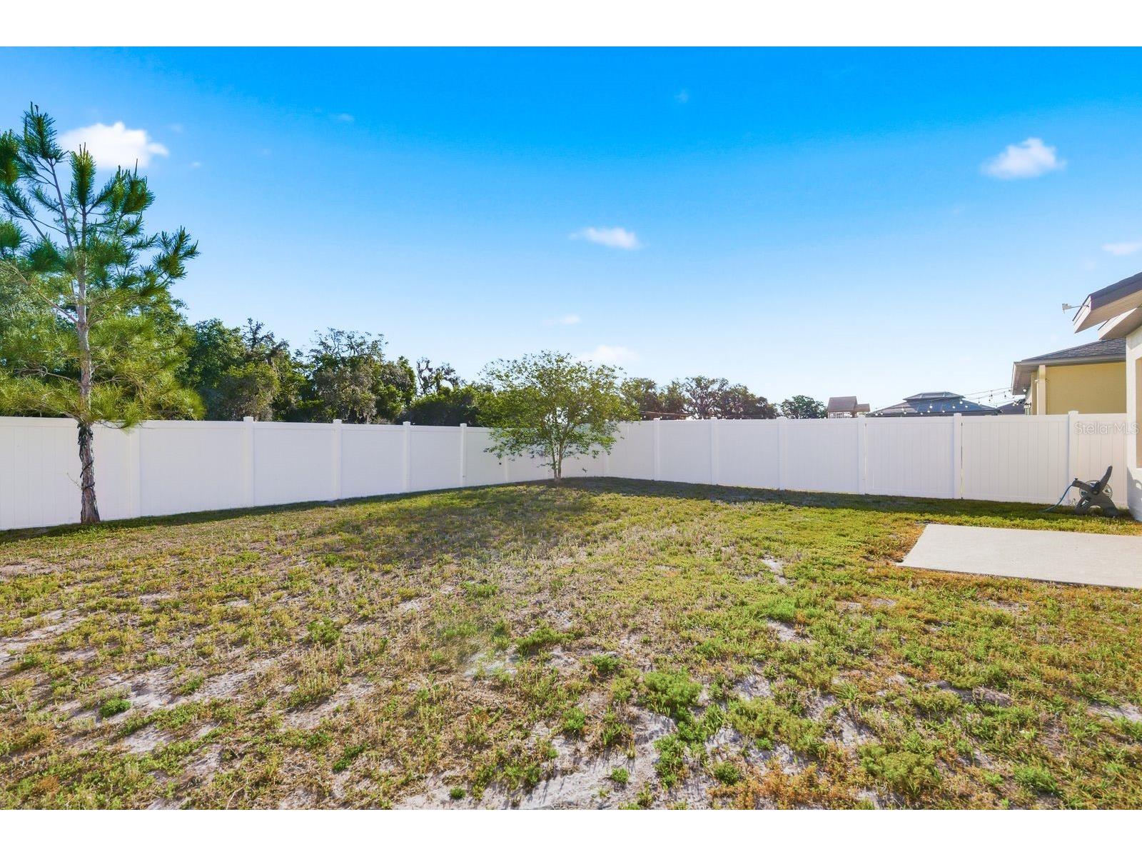 35145 Daisy Meadow Loop Zephyrhills FL 33541 TB8503006 image23