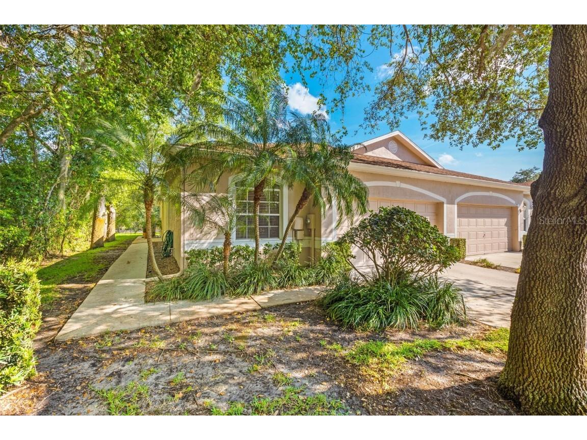 35145 Quiet Oak Lane Zephyrhills FL 33541 T3438204 image1