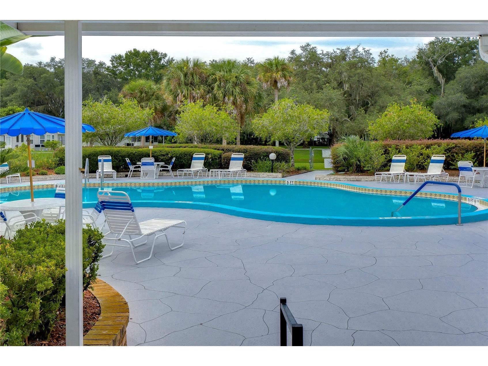 35145 Wagner Way Zephyrhills FL 33541 TB8478171 image66