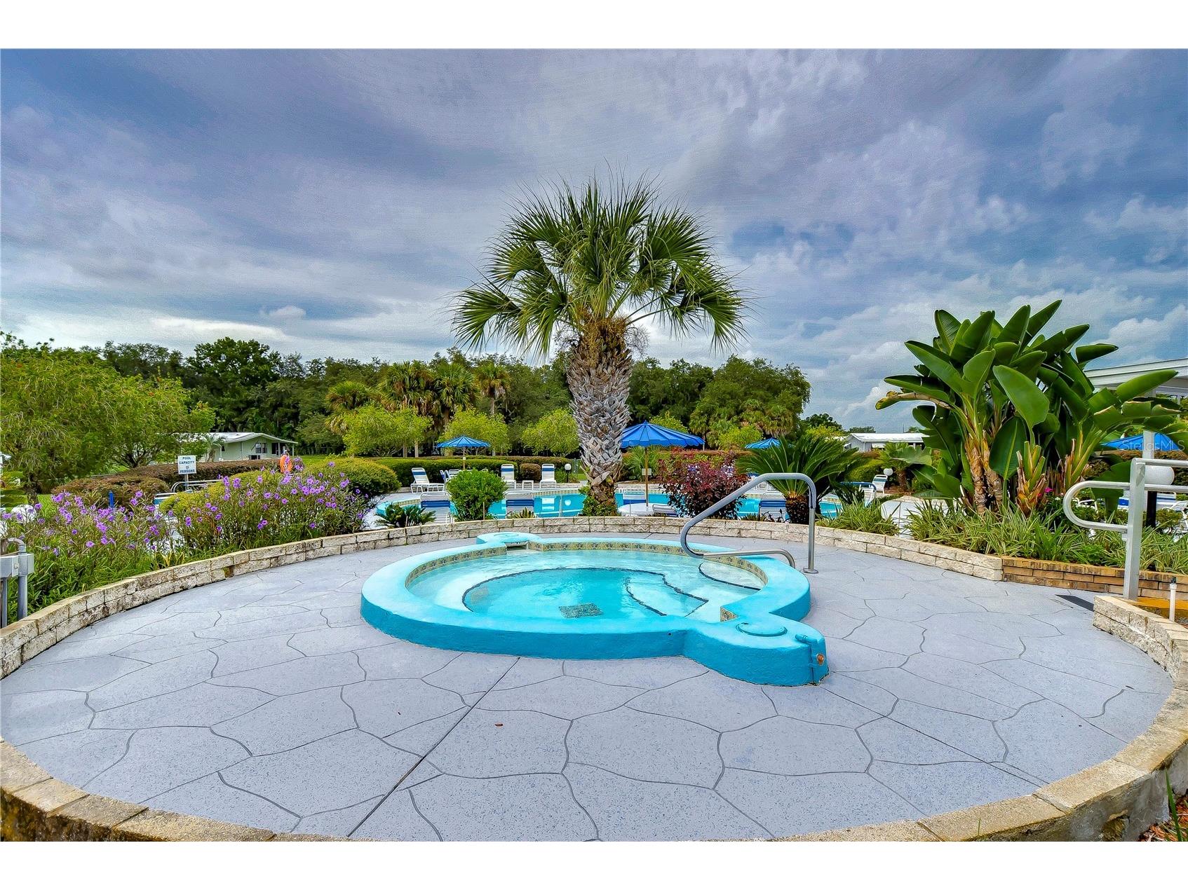 35145 Wagner Way Zephyrhills FL 33541 TB8478171 image68