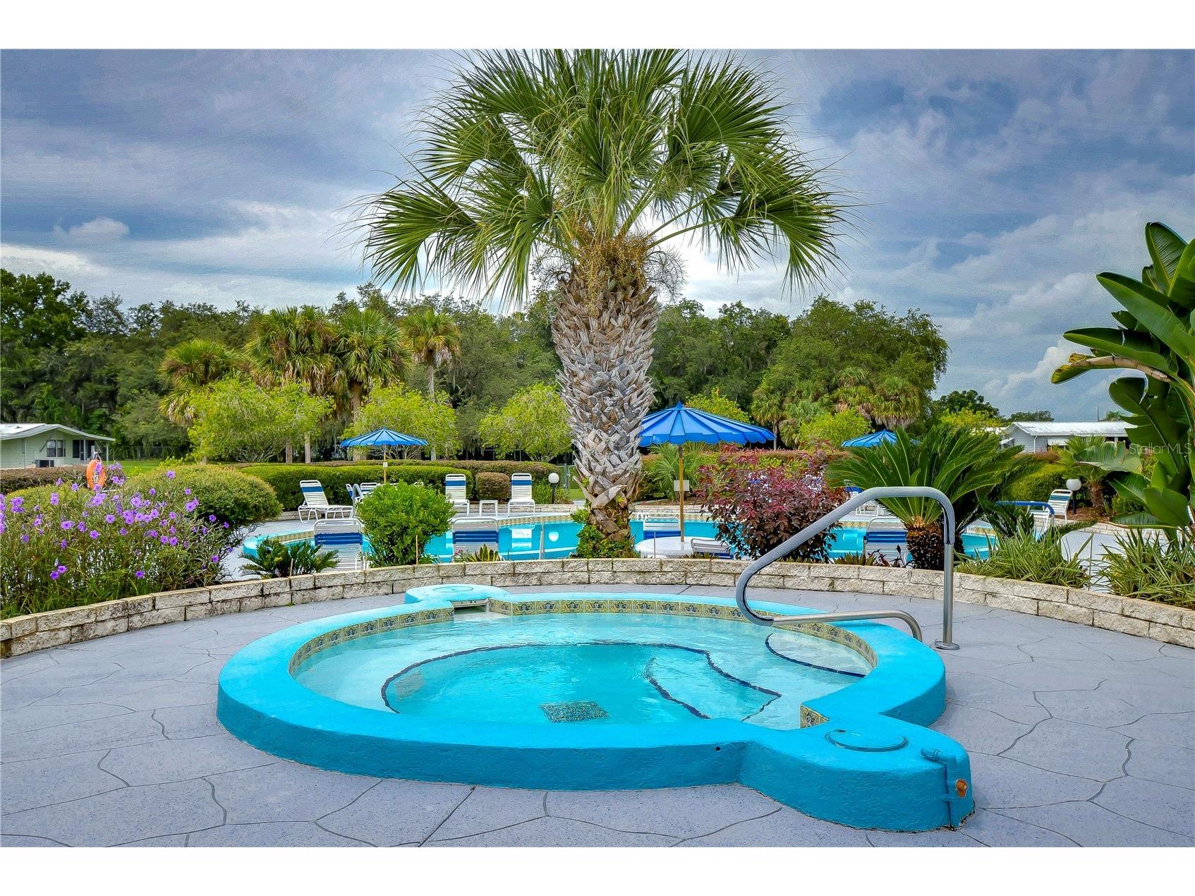 35145 Wagner Way Zephyrhills FL 33541 TB8478171 image69